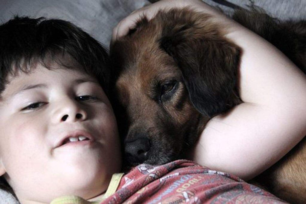 DogChild Interaction