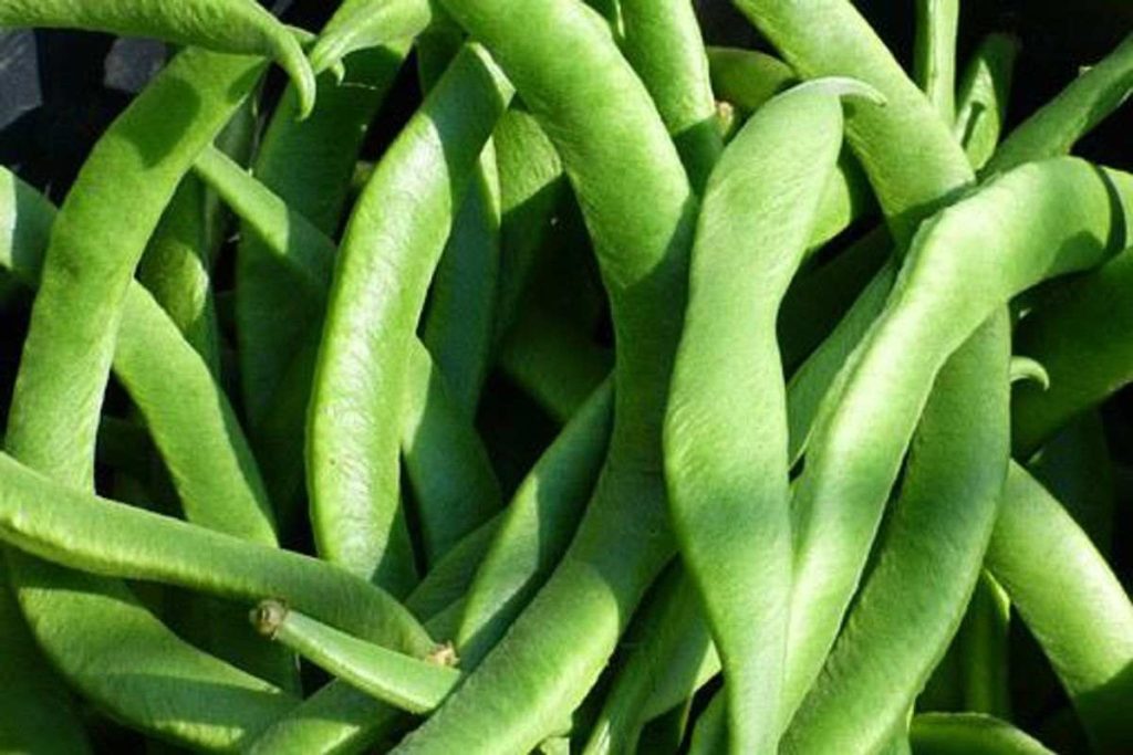 What Are Hydrophilic Foods
