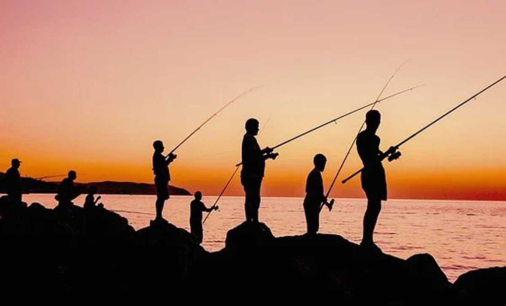 How To Breed Maggots For Fishing