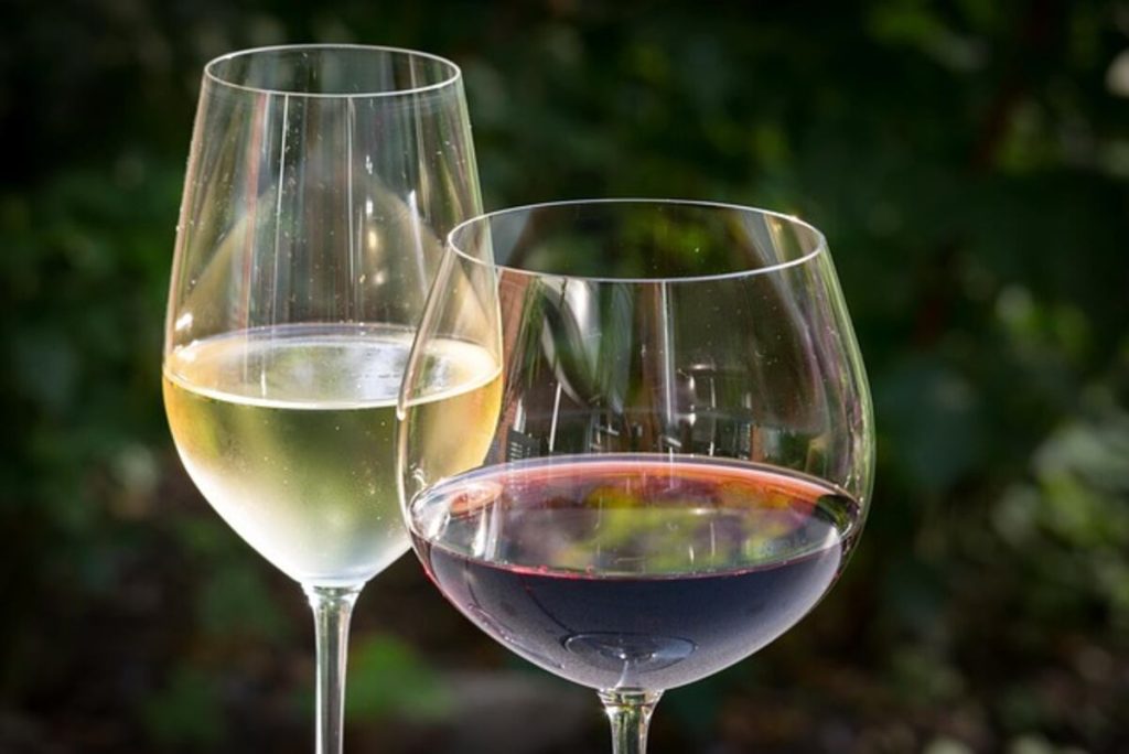 Fine Wine Investment