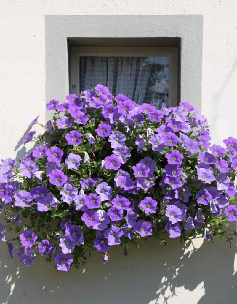 How to Create Tiered Garden Walls