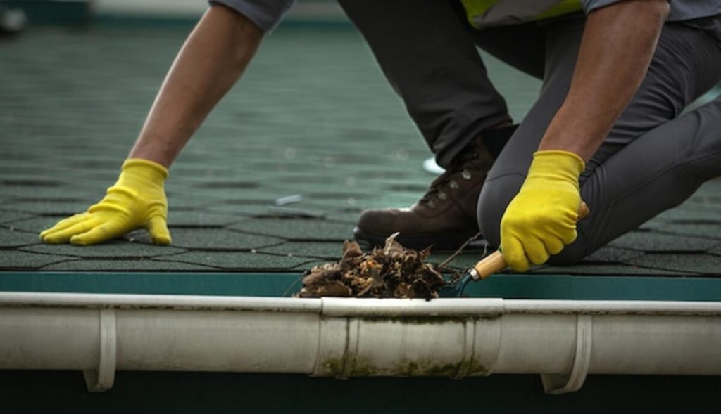 gutter cleaning