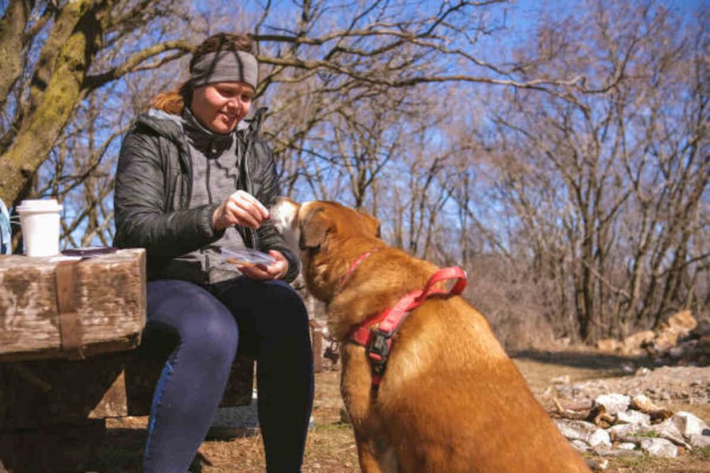 The Best Puppy Food