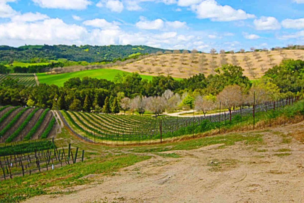 Best Way Inn, Paso Robles