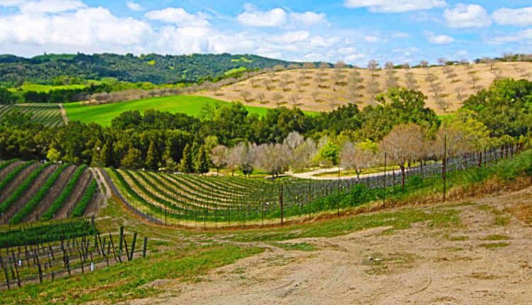 Best Way Inn, Paso Robles