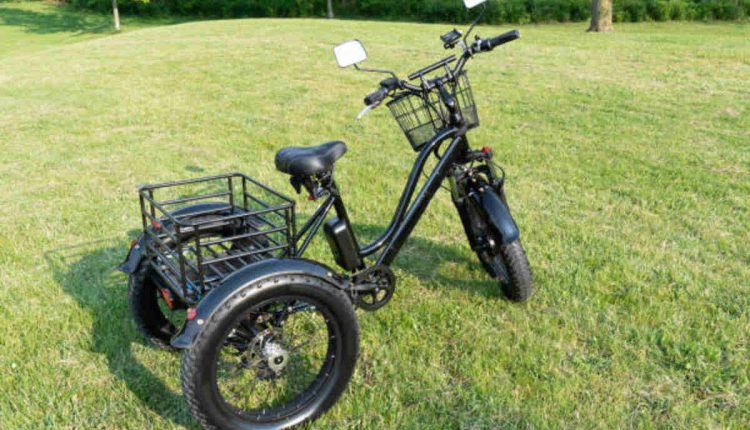 Mini Bike Trike Kit - Transform Your Regular Bicycle Into a Three-Wheeled Monster