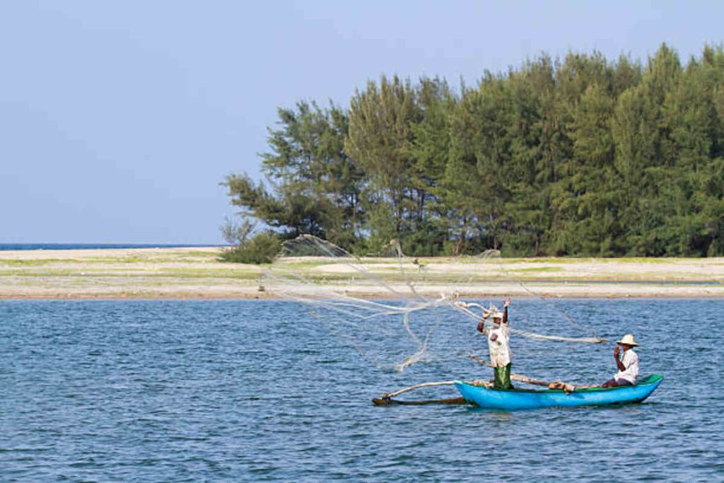 Indian River Inlet Fishing Report