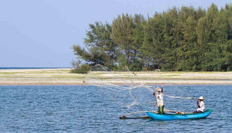 Indian River Inlet Fishing Report