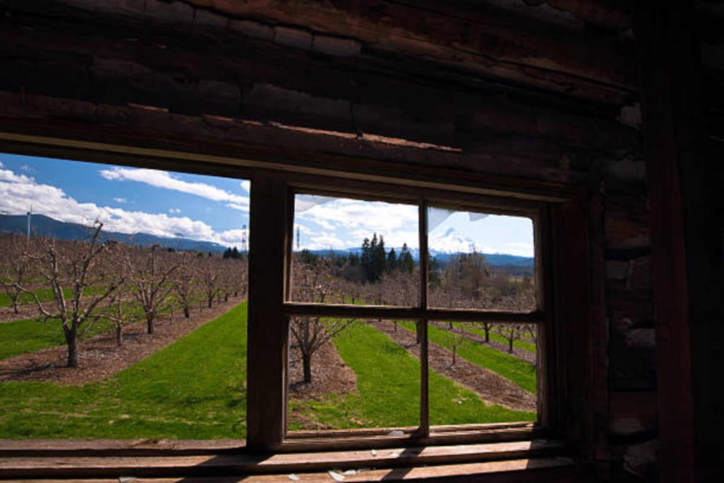 Hood River Bed and Breakfast