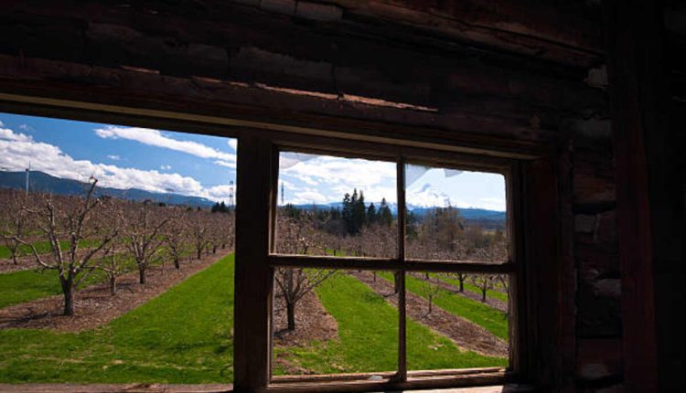 Hood River Bed and Breakfast