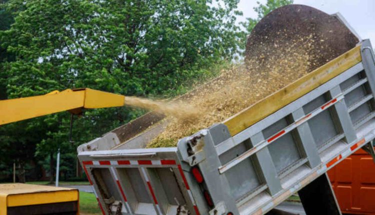 tree service San Ramon