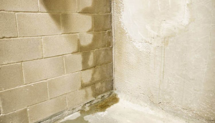 crawl space waterproofing