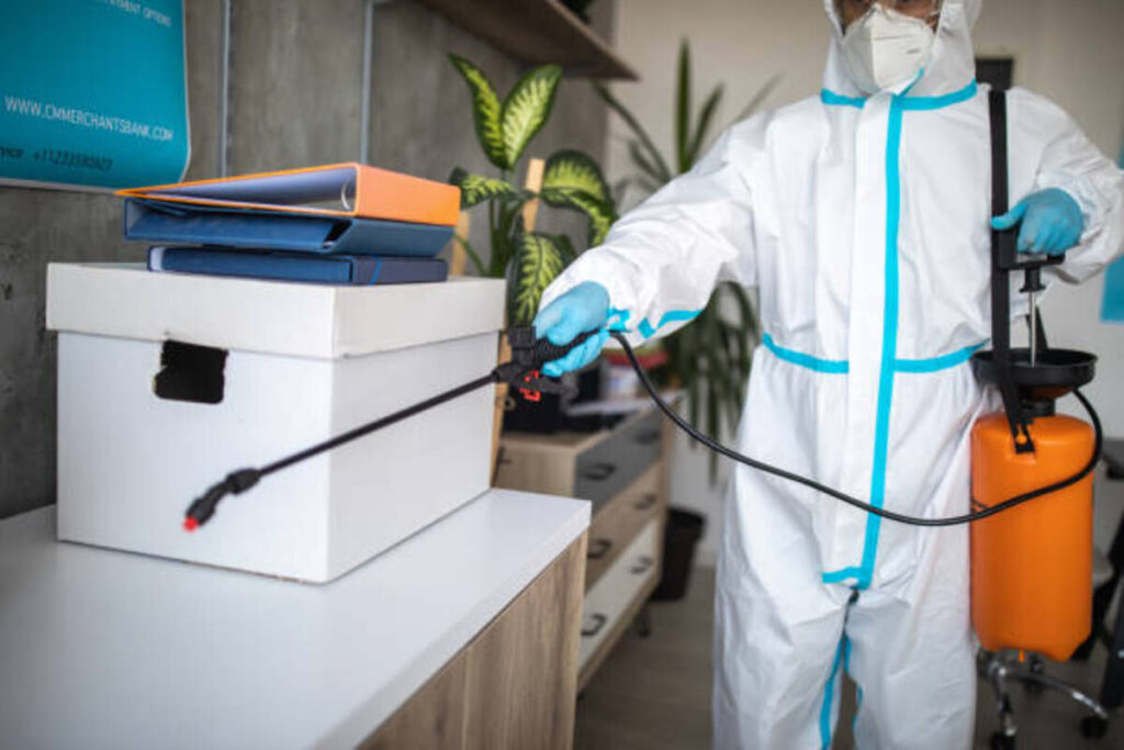 Alexandria Pest Solutions