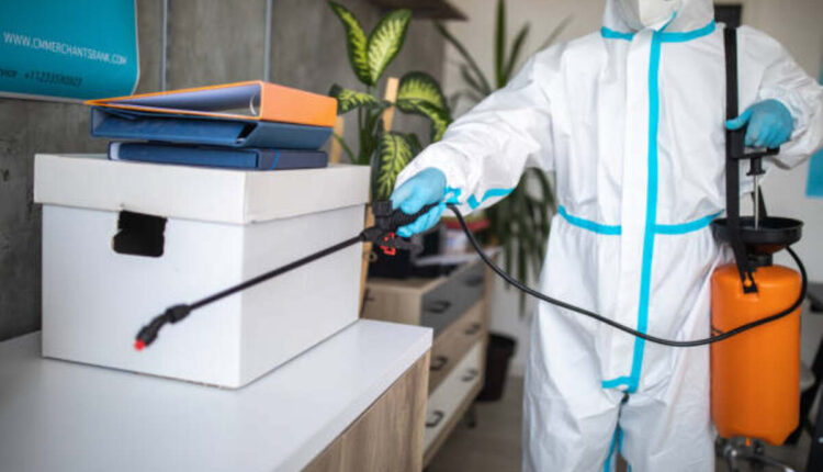 Alexandria Pest Solutions