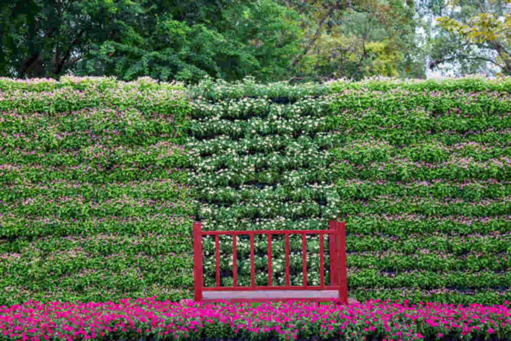 Garden Screen Panels A Stylish and Practical Solution for Your Outdoor Space