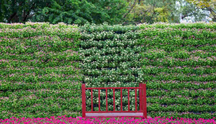 Garden Screen Panels A Stylish and Practical Solution for Your Outdoor Space
